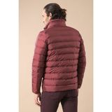 Wessi Erkek Slim Fit Kısa Şişme Mont - Bordo - 48