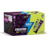 West Nutrition Kreatin Monohidrat 48 Saşe 2 Karışık Aroma 288 Gram