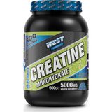 West Nutrition Kreatin Monohidrat 600 gr 100 Servis Yeşil Elma Aromalı Türkiye Menşeli Sporcu Besini