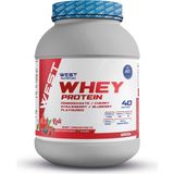 West Nutrition Whey Protein Tozu 1200 gr 40 Servis Reds Nar Vişne Yabanmersini Çilek Aromalı