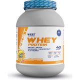 West Nutrition Whey Protein Tozu 1200 gr 40 Servis Sunrıse Kavun Mandalina Greyfurt Şeftali Aromalı