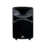 WEST SOUND TKS 12 12 İNÇ PASİF 2 YOLLU PLASTİK KABİN HOPARLÖR