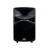 WEST SOUND TKS 15 A DSP 15 İNÇ AKTİF 2 YOLLU PLASTİK KABİN HOPARLÖR