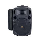 West Sound TKS 8 DC 2x40W 1 EL-1 Yaka Telsiz Mikrofonlu Taşınabilir Hoparlör