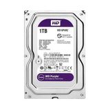 Western Digital Purple Wd10purz 1Tb 3.5" 5400 Rpm 64Mb Sata-3 Güvenlik Diski