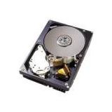 Western Digital WD400BD 40GB Sabit Disk