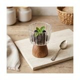 Wheat Grains Global Store Doğal Akasya Ahşap Ayaklı Borosilikat Cam Sunumluk - Çerezlik, Dondurmalık ve Tatlı Kasesi (10X9X6 Cm, 1 Adet, Küçük) - Kestane Akaju - Option-1