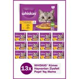 Whiskas Jelly'de 1+ Yetişkin Tavuk Kümes Hayvanı Seçimi, 40 Torba, Yetişkin Islak Kedi Yemi, Megapack (40 x 85 g)