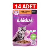 Whiskas junior kümes hayvanlı yavru kedi yaş maması 85gr 14adet kedi ıslak mama pouch konserve