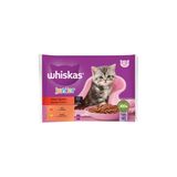 Whiskas Yavru Kedi Yaş Mama 340G Poşet - Lezzetli ve Dengeli Beslenme 5'li Avantaj Paketi