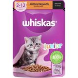 Whiskas Yavru Kümes Hayvanlı Yaş Kedi Maması 85 g İstiridye Tatlı Premium Kalite