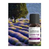 whisperpro Lavanta Yağı %100 Saf - Bitkisel Aromaterapi Lavanta Uyku Ve Stres Yağı 10ml - Uçucu Yağ