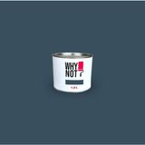Whynot? Endless Renkli Duvar Boyası 1.5 Lt Su Bazlı Dayanıklı ve Kolay Uygulama Özelliği - Boyası Endless