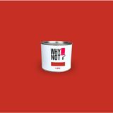 Whynot? Hot And Spicy 1.5 lt İç Cephe Duvar Boyası