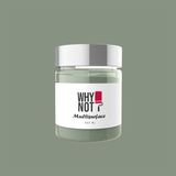 Whynot Kendinden Vernikli Sage Multisurface Akrilik Boya Yeşil Renk ile Pratik Kullanım - 250 ml