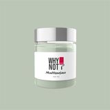 Whynot Olive Grove Multisurface Kendinden Vernikli Akrilik Boya - 500 ml