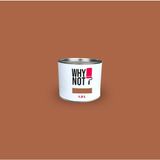 Whynot? Warm Terracotta 1.5 lt İç Cephe Duvar Boyası