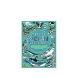 Wide Eyed Atlas Of Ocean Adventures Çocuk Yabancı Dil Kitabı - Antrasit
