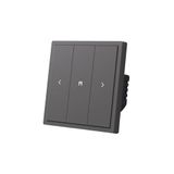 WiFi + RF Perde Panjur Mekanik Tuşlu Akıllı Duvar Anahtarı - Gri (Tuya, Smart Life Uyumlu)
