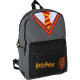 Wiggle Harry Potter Gruffindor Okul Çantası Üç Bölmeli - Antrasit