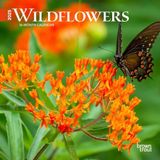 Wildflowers | 2025 7 x 14 Inch Monthly Mini Wall Calendar | Plastic-Free | BrownTrout | Flower Outdoor Plant