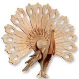 Wildlebend Tavus Kuşu 3D Ahşap Puzzle