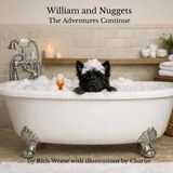William and Nuggets: The Adventures Continue