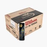 Wilson 24 Kutu Wilson Us Open tenis Topu Vakum Ambalajda 1 Box (Koli) WRT106200 (SARI)