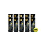 Wilson Tenis Topu US Open XD 3lü 10 Kutu WRT106200