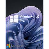 Windows 10 Pro Oem Lisans