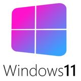Windows 11 Pro Satın al
