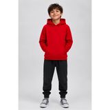 Windy Island Erkek Çocuk Kapüşonlu %100 Pamuk Şardonlu 3 İplik Sweatshirt