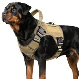 WINGOIN Büyük Köpekler için Taktik Köpek Koşum Yeleği, Çekmesiz Ayarlanabilir Yansıtıcı Askeri Evcil Hayvan Koşumu, Kolay Kontrol Kulplu, Yürüyüş Yürüyüş Eğitimi için Kanca ve Döngü Panelli (XL)