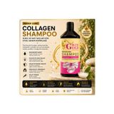 Wingold COLLOGEN ŞAMPUAN 1000 ML PLUS+