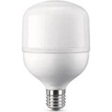 Winlight WL-T20 20W Torch LED Ampül Winlight