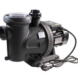 Winpo Wnp Pool-1 1M Havuz Pompası Monofaze 1HP