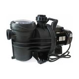 Winpo Wnp Pool-2 4T Havuz Pompası Trifaze 4HP