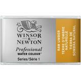 Winsor & Newton 0100554 Professional Watercolours (en iyi sanatçı suluboya boyası - 1/1 tırnak en yüksek pigmentasyon, mükemmel ışık haslığı) koyu doğal