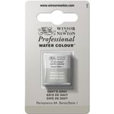 Winsor & Newton 0101217 Professional sulu boya, sanatçı kalitesinde canlı sulu boya, yüksek renk parlaklığı ve parlaklık, solmaz, arşiv kalitesi, 1/2 kap - Davy's gri
