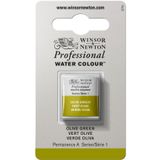 Winsor & Newton 0101447 Professional sulu boya, sanatçı kalitesinde canlı sulu boya, yüksek renk parlaklığı ve parlaklık, solmaz, arşiv kalitesi, 1/2 kap - zeytin yeşili