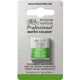 Winsor & Newton 0101503 Professional sulu boya, sanatçı kalitesinde canlı sulu boya, yüksek renk parlaklığı ve parlaklık, solmaz, arşiv kalitesi, 1/2 kap - kalıcı meyve suyu yeşili