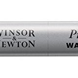 Winsor & Newton 0110322 Professional Watercolours (en iyi sanatçı sulu boya - mümkün olan en yüksek pigmentasyonu çubukları, mükemmel ışık haslığı) indigo