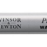 Winsor & Newton 0110465 Professional Watercolours (en iyi sanatçı sulu boya - mümkün olan en yüksek pigmentasyonu çubukları, mükemmel ışık haslığı) payne's gri