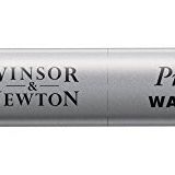 Winsor & Newton 0110744 Professional Watercolours (en iyi sanatçı sulu boya - mümkün olan en yüksek pigmentasyonun çubukları, mükemmel ışık haslığı) sarı toprak sarısı