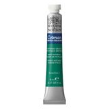 Winsor & Newton 0303329 Cotman sulu boya mükemmel şeffaflık, renk gücü ve işleme özellikleri, su boyası 8 ml tüp - yoğun yeşil