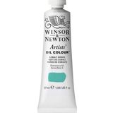 Winsor & Newton 1214184 Artists yağlı boya - 37 ml tüp, sanatçı yağlı boya mümkün olan en yüksek pigmentasyonlu, en yüksek ışık haslığı - Kobalt yeşili