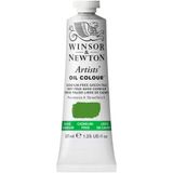 Winsor & Newton 1214897 Artists yağlı boya - 37 ml tüp, sanatçı - mümkün olan en yüksek pigmentasyonlu yağlı boya, en yüksek ışık haslığı - kadmiyum içermez, açık yeşil