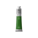 Winsor & Newton 200 ml : Terre Verte Winton Yağlı Boya