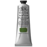 Winsor & Newton 2320503 profesyonel akrilik boya, sanatçı kalitesi, yüksek renk parlaklığı ve opaklık, arşiv kalitesi, 60 ml tüp - kalıcı meyve suyu yeşili