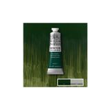Winsor & Newton 37 ml Dark Verdıgrıs Winton Yağlı Boya